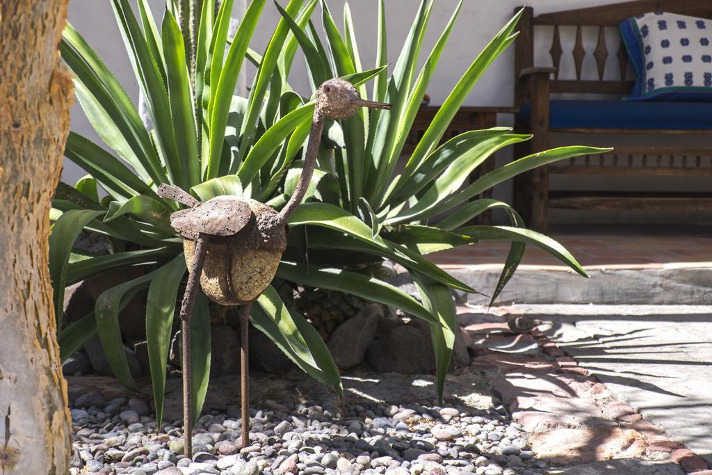 El Angel Azul Hacienda Hotel La Paz Zewnętrze zdjęcie